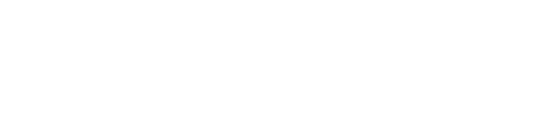 Scout RV